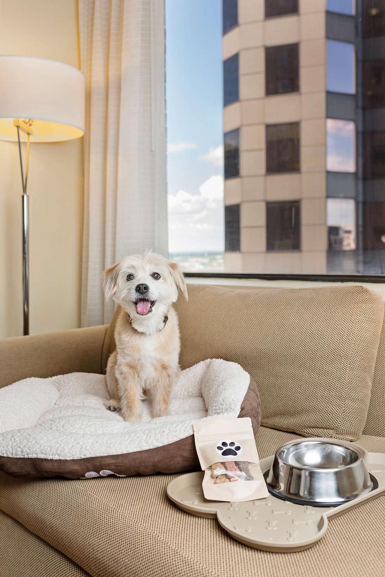 Hyatt Regency Houston Downtown Hotel Bagian luar foto